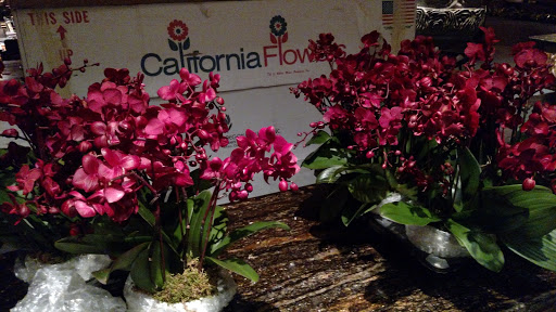 Pan-Asian Restaurant «TAO Downtown», reviews and photos, 92 9th Ave, New York, NY 10011, USA