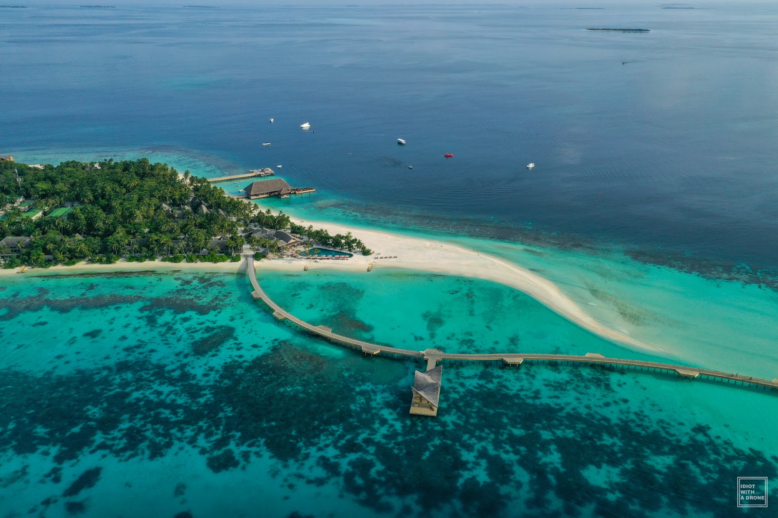 Joali Maldives'in fotoğrafı otel alanı
