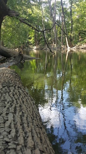 Ottawa Park - photo 15