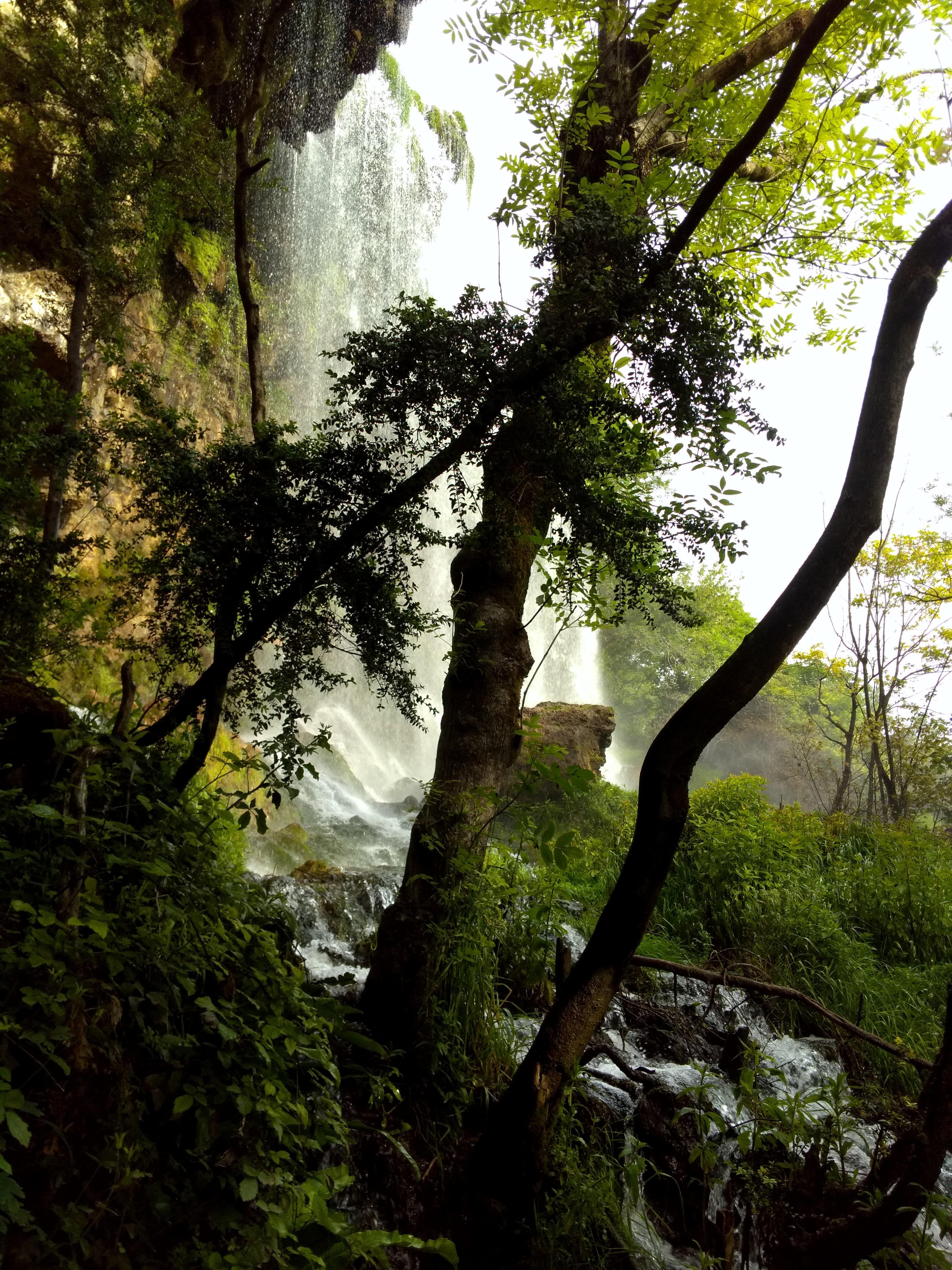 Photo n° 3 de l'avis de Thierry.v fait le 27/06/2018 à 10:34