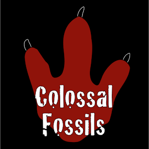 Colossal Fossils Downtown Museum - photo 17