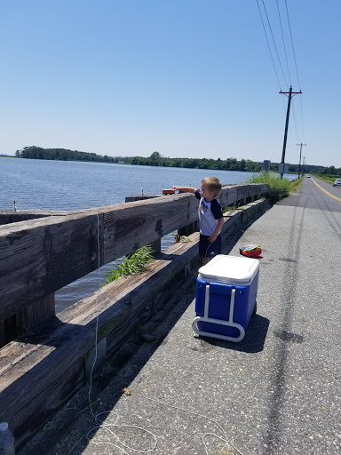 Boat Rental Service «Blackwater Paddle and Pedal Adventures», reviews and photos, 2524 Key Wallace Dr, Cambridge, MD 21613, USA