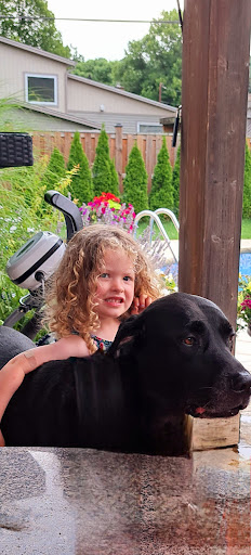 Niagara Falls Animal Medical Centre image