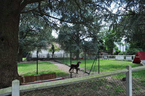Elevage de la Mailleraye - Little Champs - Pension Canine à Arelaune-en-Seine