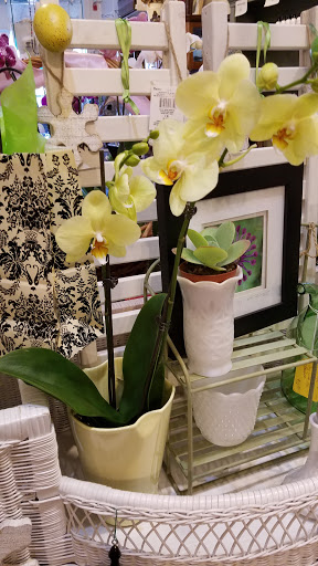 Consignment Shop «Old Bank Flowers Art and Marketplace», reviews and photos, 66 Main St, East Hampton, CT 06424, USA