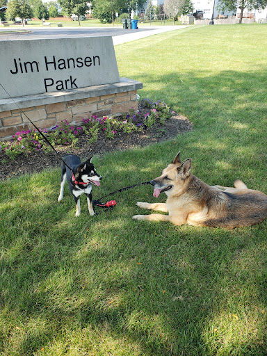 Park «Jim Hansen Park», reviews and photos, 338 Valley Forge Ave, South Elgin, IL 60177, USA
