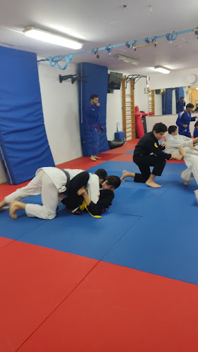 נווה מדבר 40, אילת, 88000