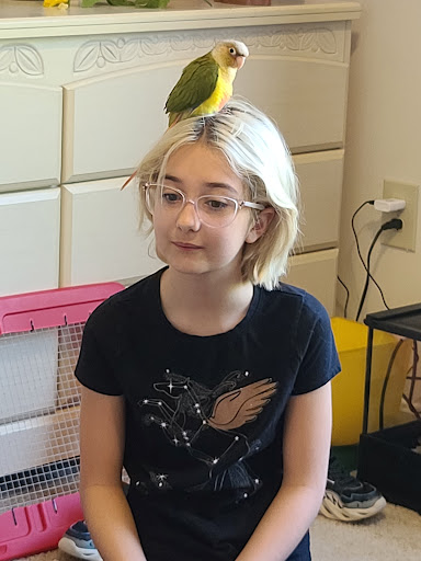 Pet Supply Store «PetSmart», reviews and photos, 7663 Arundel Mills Blvd, Hanover, MD 21076, USA