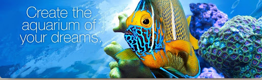 Tropical Fish Store «Aquatic Creations Ltd», reviews and photos, 2909 Urbana Pike, Ijamsville, MD 21754, USA