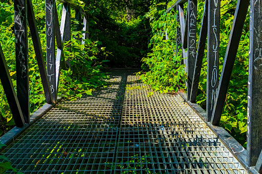 Nature Preserve «Brookside Preserve», reviews and photos, N Brookside Ave, Roosevelt, NY 11575, USA
