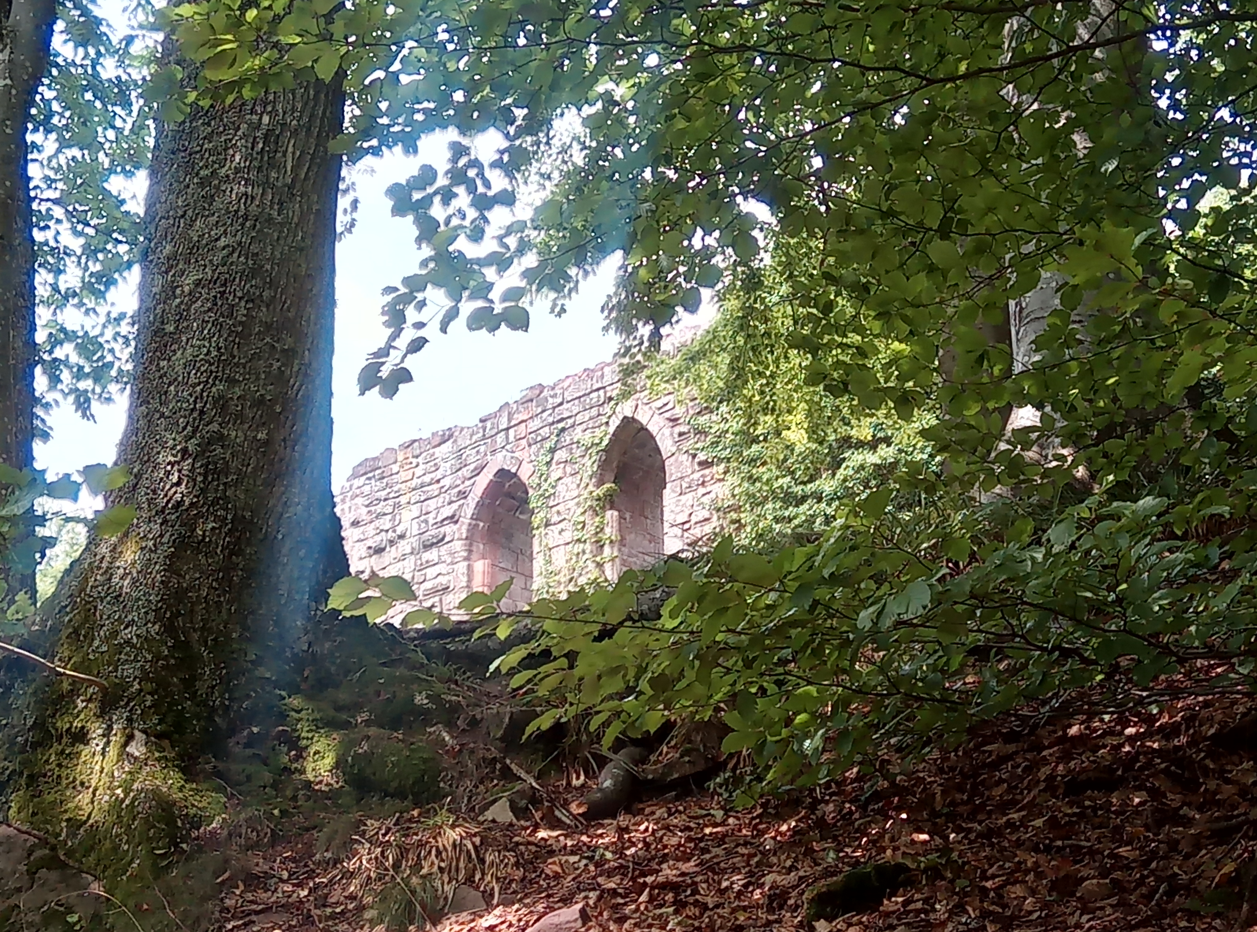Photo n° 2 de l'avis de Transduo.r fait le 15/08/2018 à 12:01