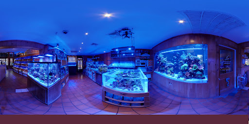 Tropical Fish Store «House of Fins», reviews and photos, 99 Bruce Park Ave, Greenwich, CT 06830, USA
