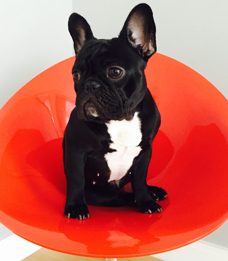 Mercedes Benz Dealer «Mercedes-Benz of Alexandria», reviews and photos, 200 S Pickett St, Alexandria, VA 22304, USA