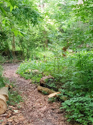 Non-Profit Organization «Nature Discovery Center», reviews and photos, 7112 Newcastle St, Bellaire, TX 77401, USA