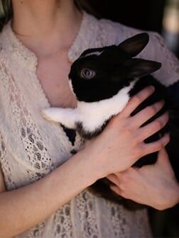 Pet Supply Store «Atlas Pet Supply», reviews and photos, 12761 Central Ave NE, Blaine, MN 55434, USA