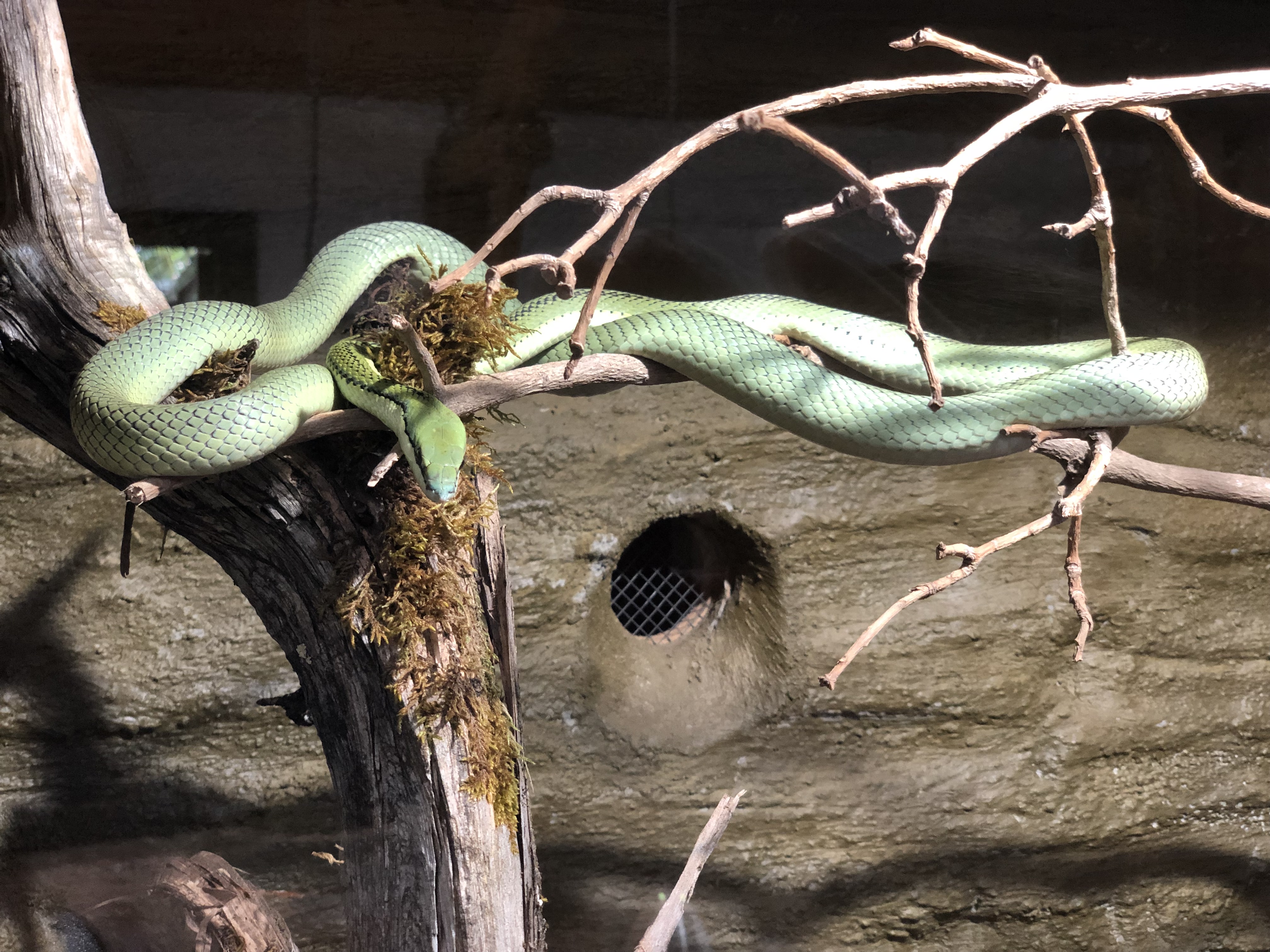 Photo n° 2 de l'avis de Nathalie.e fait le 29/07/2023 à 19:31