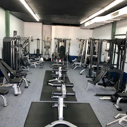 Exercise Equipment Store «Winston Fitness Equipment Inc», reviews and photos, 3618 Shepherd Dr, Houston, TX 77098, USA