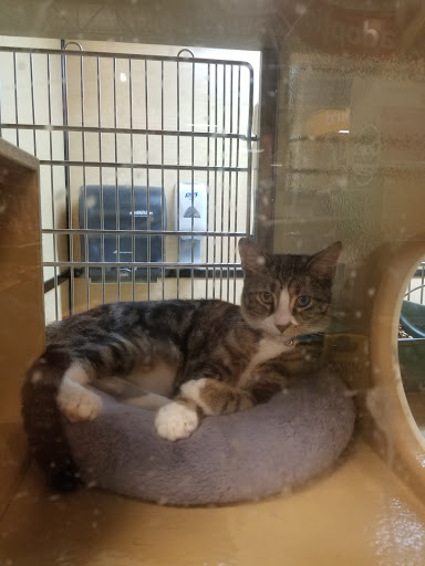 Pet Supply Store «PetSmart», reviews and photos, 16514 SW 88th St, Kendall, FL 33196, USA