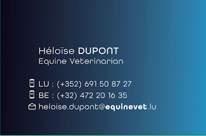 Héloïse Dupont Vétérinaire Equin / Chevaux
