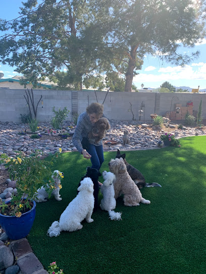 Auntie Cathy's Dog Daycare and Boarding in Tucson, Arizona