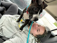 Petology Training - Photo 9 - Car repair in , Detroit