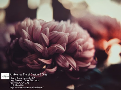 Florist «Ambience Floral Design & Gifts», reviews and photos, 1249 Pleasant Grove Blvd #100, Roseville, CA 95678, USA