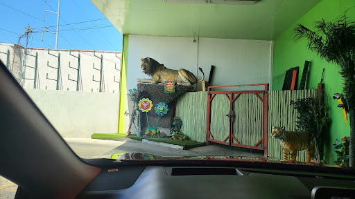 Car Wash «Green Forest Car Wash», reviews and photos, 4649 W Rosecrans Ave, Hawthorne, CA 90250, USA