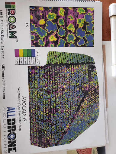 Hobby Store «Exeter Hobbies», reviews and photos, 130 E Maple St, Exeter, CA 93221, USA