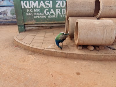 Photos of Kumasi National Zoological Garden
