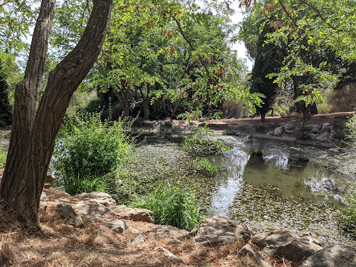 Marais du Gros-Cerveau à Ollioules