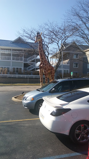 Amusement Center «LaserLite», reviews and photos, 4505 E 3rd St, Bloomington, IN 47401, USA