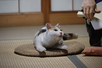 三味線ばあさんロボット展示