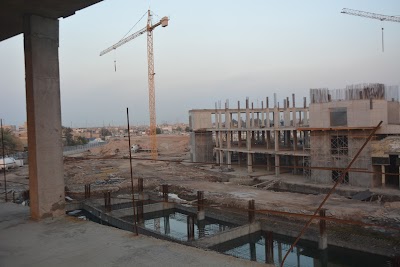 Photos of شباب البنوك