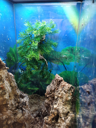 Pet Store «The Enclosure», reviews and photos, 1820 Golden Mile Hwy, Pittsburgh, PA 15239, USA