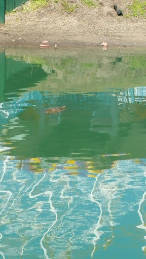 Theme Park «Fun Spot America Theme Parks-Kissimmee», reviews and photos, 2850 Florida Plaza Blvd, Kissimmee, FL 34746, USA