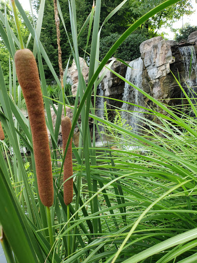 Golf Course «River Creek Club», reviews and photos, 43800 Olympic Blvd, Leesburg, VA 20176, USA