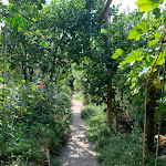 Photo n°3 de l'avis de Marty.o fait le 16/08/2022 à 14:56 sur le  O'Parrucchiano La Favorita à Sorrento