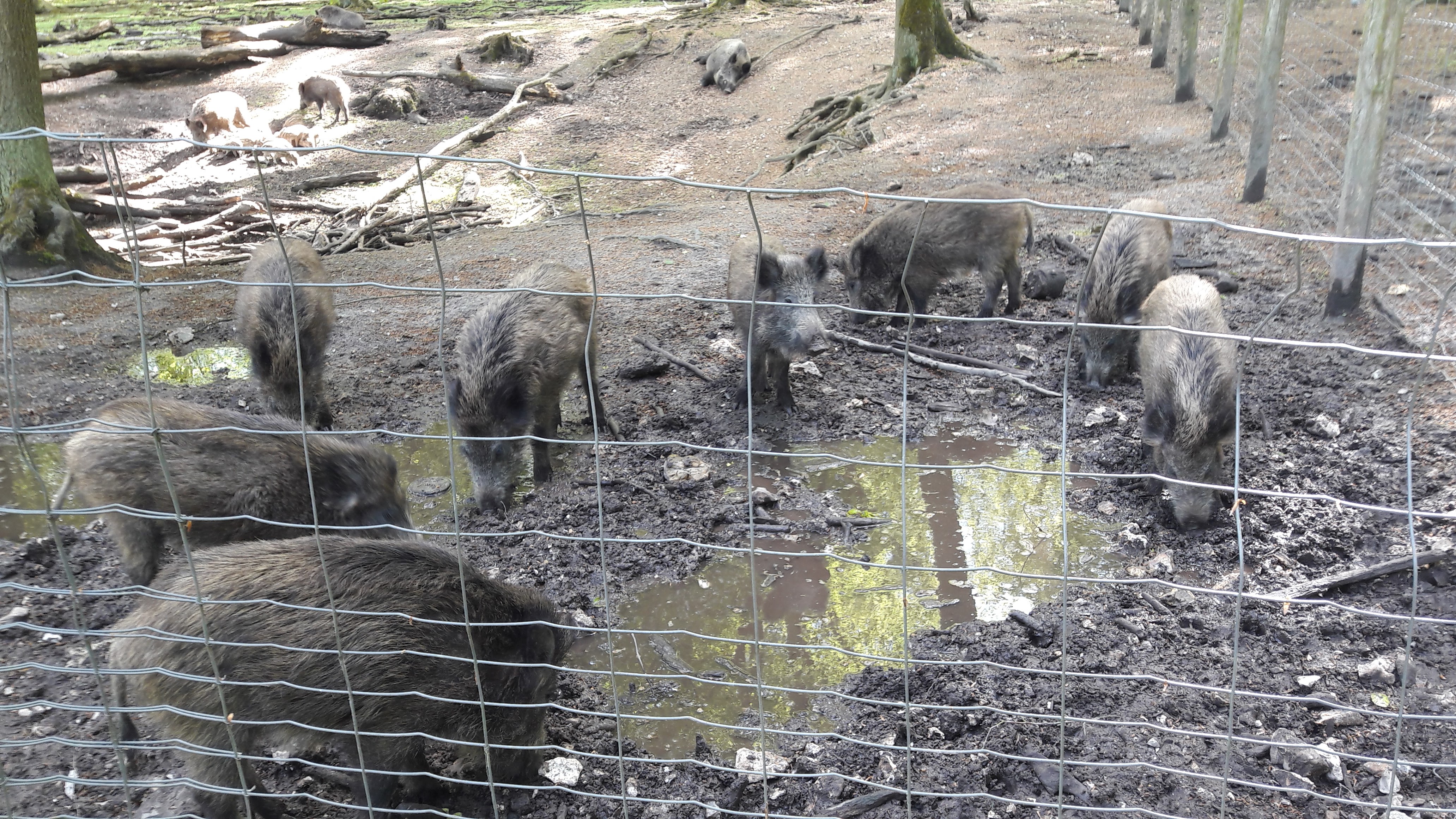 Photo n° 4 de l'avis de Lulu.o fait le 05/05/2018 à 16:53