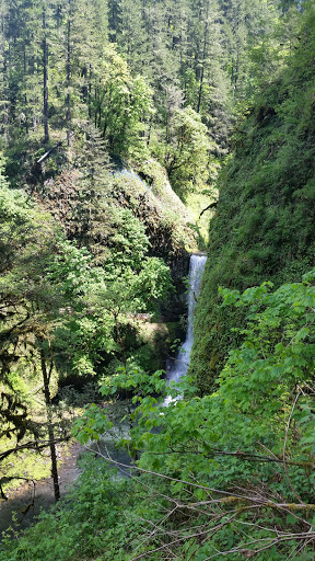 Store «Silver Falls Country Store», reviews and photos, 172 Silver Falls Dr SE, Silverton, OR 97381, USA