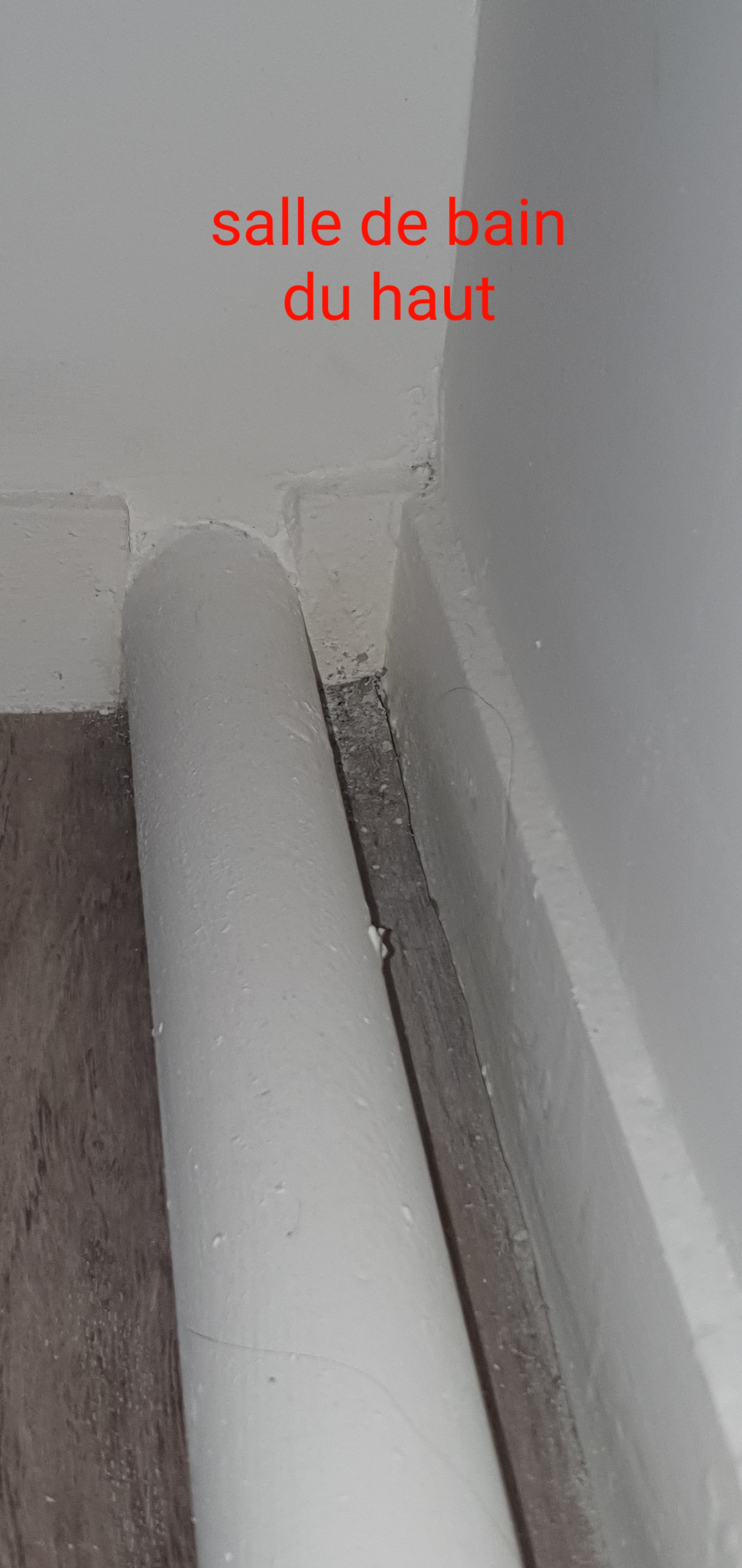 Photo n° 25 de l'avis de co.o fait le 19/03/2021 à 16:42