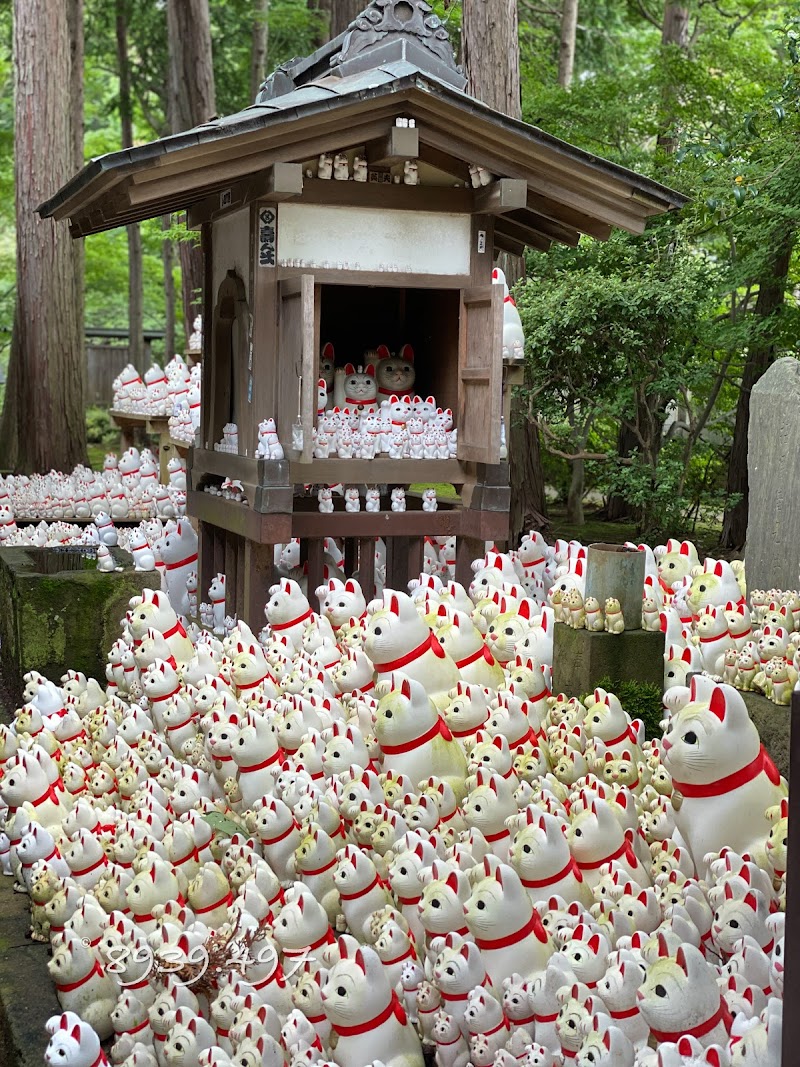招福猫児奉納所 東京都世田谷区豪徳寺 寺院 礼拝所 グルコミ
