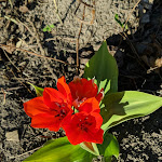 Photo n°6 de l'avis de Basti. fait le 30/03/2019 à 16:54 sur le  Fürstenfelder Restaurant à Fürstenfeldbruck