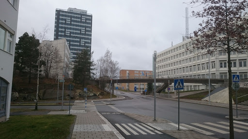 Rinkeby-Kista stadsdelsförvaltning