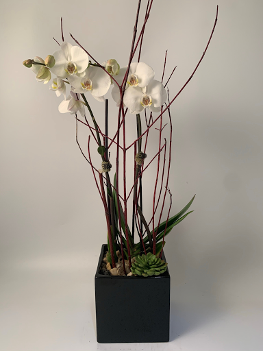 Florist «Blossoms», reviews and photos, 33866 Woodward Ave, Birmingham, MI 48009, USA