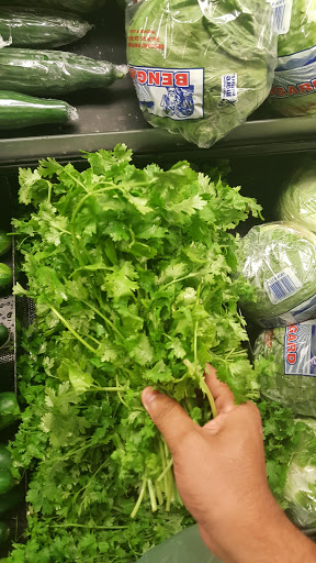 Grocery Store «Food Lion», reviews and photos, 101 Lark Dr, Moyock, NC 27958, USA