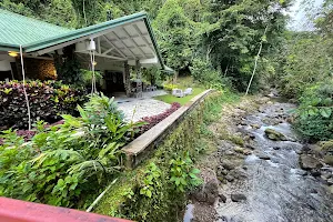 Canopy Lodge image