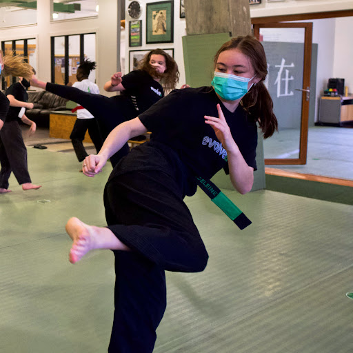 Martial Arts School «EvolveAll - Training Arts Center, Arlington VA», reviews and photos, 5818 Seminary Rd, Falls Church, VA 22041, USA