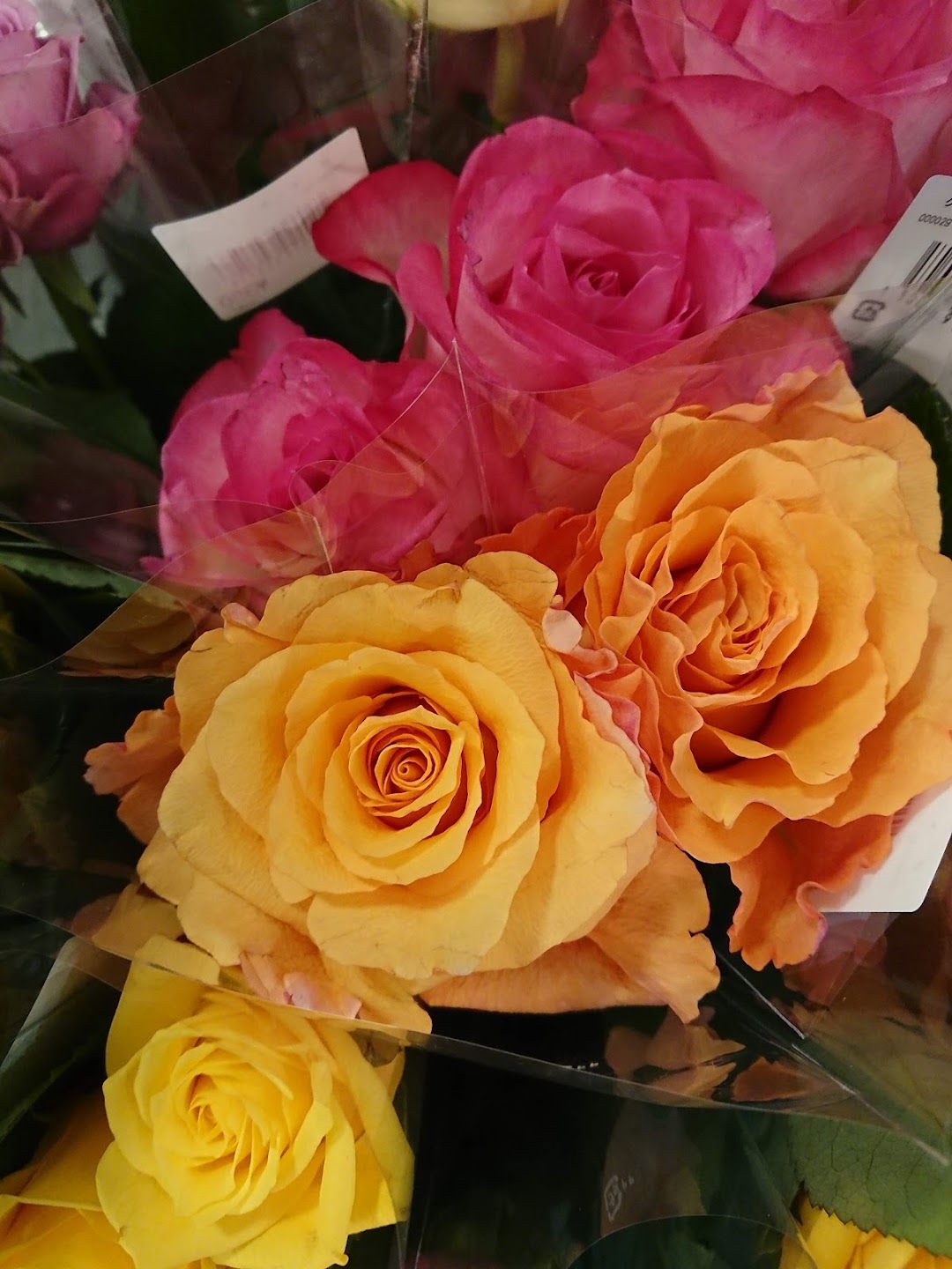 花と緑のばど出雲店 市内で出雲市