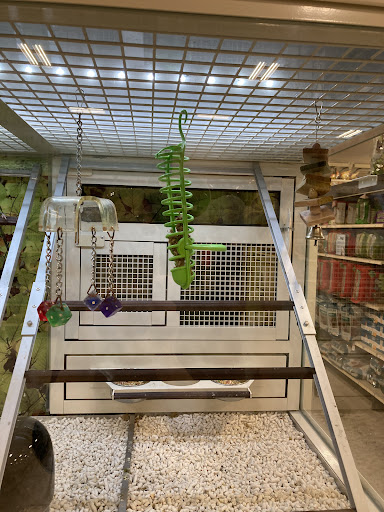 Pet Supply Store «PetSmart», reviews and photos, 2840 W Chandler Blvd, Chandler, AZ 85224, USA