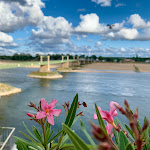 Photo n° 1 de l'avis de Magalie.h fait le 31/07/2023 à 17:59 pour L'amour de la Loire à Ingrandes-le-Fresne-sur-Loire